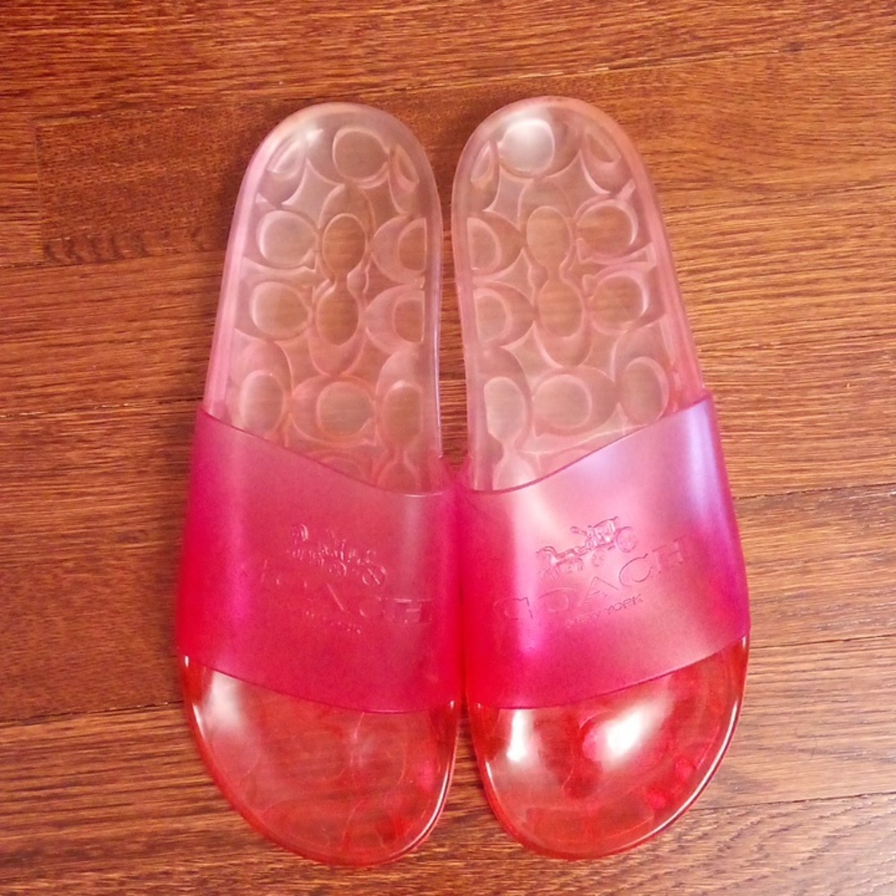 Coach transparent slides - Picture 4 of 7
